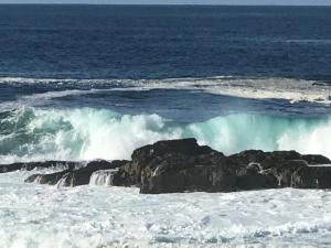 Hermanus Haven, entire home, on the sea, private pool, secure