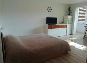 Light one room apartment