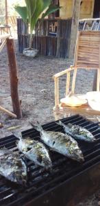 Mida Creek Nature Camp