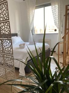 Relax & Comfort Redona 8 Green Oasis near City Centre