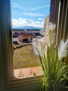 Cap Coudalère Vue sur le Canigou et le lac marin- PISCINE OUVERTE photo 6