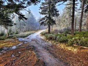 Wellness chalupa Šindelka