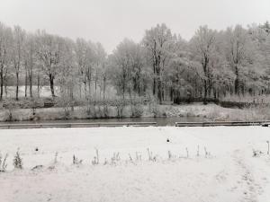 Rezerwat Wielin Sauna - Balia - Hot Tube - Jacuzzi - Basen - Klimatyzacja - Kominek