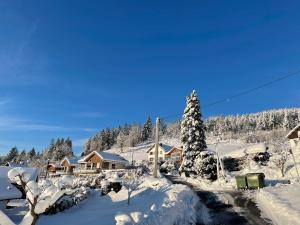 Chalets le bleu du lac Sauna et Spa : photos des chambres