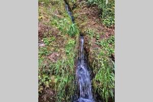 Chalets Petit coin de paradis en pleine nature : photos des chambres