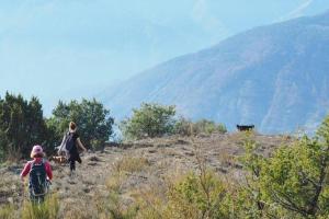 Chalets Petit coin de paradis en pleine nature : photos des chambres