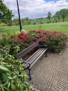 Hotel Pałac Borynia