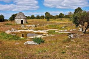 Maisons de vacances Maison Confit : photos des chambres