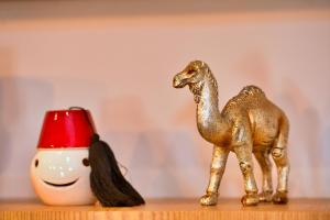 Appartement de prestige climatisé à lhivernage 400m de la Gare