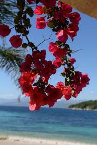 Villa Melanthi Kassiopi Corfu Corfu Greece