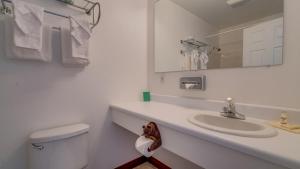 King Studio (No Pets) room in Corral Creek Lodge