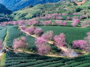 SAPA KING HOTEL HUNG VUONG HOTEl