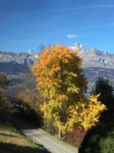 Chalets Le Caribou : photos des chambres