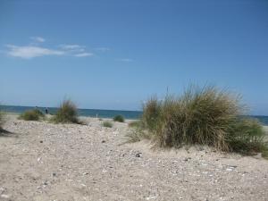 Apartment with Garden View room in Ferienhof Christian und Antje Hopp
