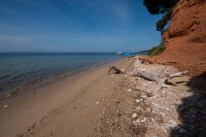 Daniils Seafront Apartment