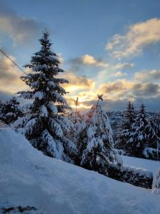 Chalets Le chalet de Rothenbuhl : photos des chambres