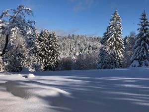 Maisons de vacances Gite les trois pierres, proche de Gerardmer : photos des chambres