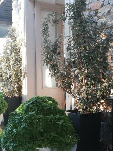 Speires Irakleia-Island Greece