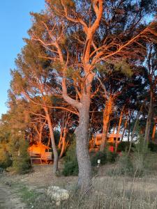 Tentes de luxe Saint Paul le Marseillais Tentes Equippees Hebergements Insolites Lodges : photos des chambres