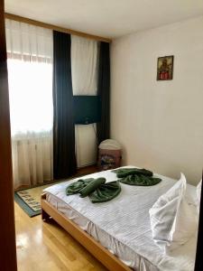 Apartament Confort - Baile Olanesti