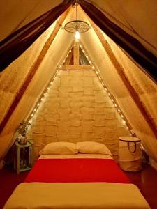 Refugio Explora Verde