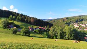 Apartment Votrubcovi