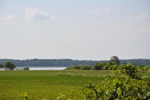 Między Wodami