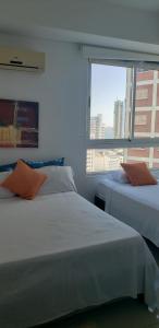 Palmetto Eliptic Bahia