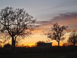 Agriturismo Residence Caporale