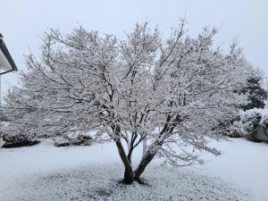 Agriturismo Residence Caporale