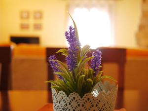 Apartamentos Casa Cecilia