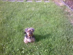 Haus Alpenblick inkl. Chiemgaukarte