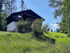 Під Боржавою