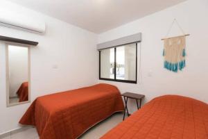 DEPARTAMENTO EN PLANTA BAJA CON TERRAZA