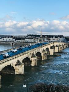 Appartements Blois, vue panoramique Loire : photos des chambres