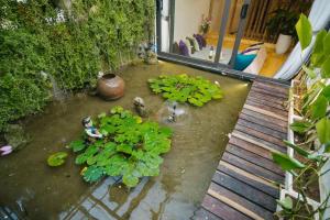 Homestay CHẤT - Oasis View 1