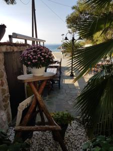 Marina Halkidiki Greece