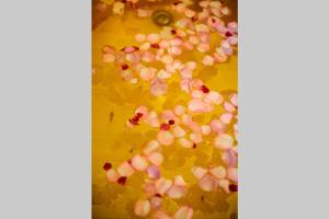 Homestay CHẤT - Pagoda View 1