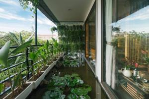 Homestay CHẤT - Pagoda View 1