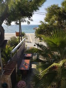 Marina Halkidiki Greece