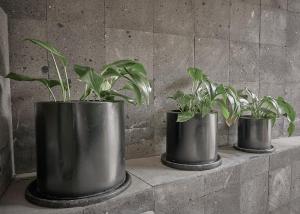 Armónico departamento Ciudad de México