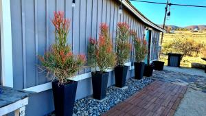 Finca Vidandrei CASA EUCALIPTO