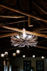 Woodbury Tented Camp – Amakhala Game Reserve