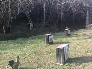 Pizzicalaluna Agriturismo Olistico sulle Colline di Pianoro