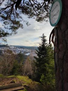 Chalets Le chalet de Rothenbuhl : photos des chambres
