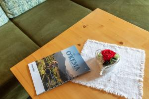 Apartment with Mountain View room in Berggasthaus Steinberg-Alm