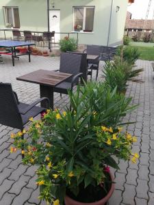 Attila Vendégház Tápiószentmárton