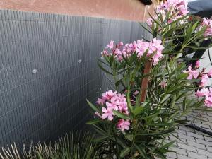 Attila Vendégház Tápiószentmárton