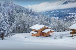 Chalets Chalet Elomaz - OVO Network : photos des chambres
