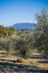 Maisons de vacances Mas Provencal climatise avec vue sur le Mont Ventoux : photos des chambres